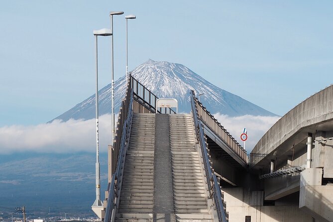 Scenic Mt. Fuji and Hakone: Owakudani, Skywalk & Yumeno Ohashi - Cancellation Policy