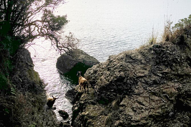 Scenic Private Hiking Tour From Portofino to S. Fruttuoso - Whats Included