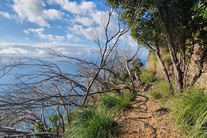 Scenic Private Hiking Tour From Portofino to S. Fruttuoso - Tour Requirements
