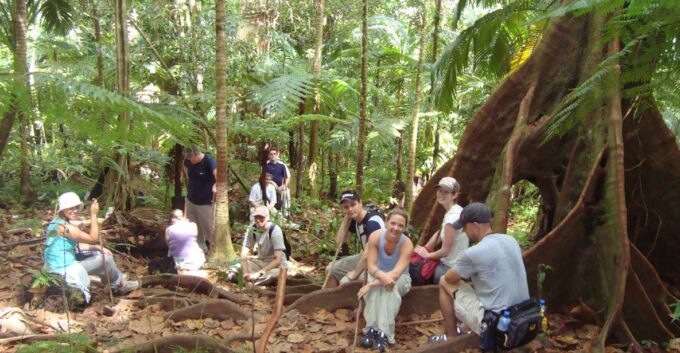 Scenic Rainforest Hike - Transportation and Accessibility