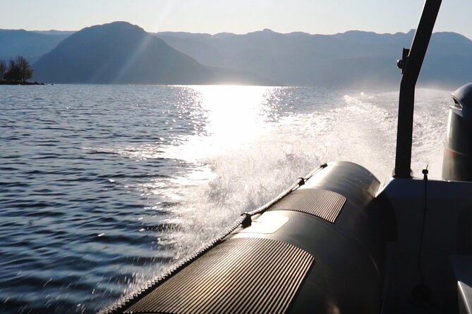 Scenic RIB Adventure to Hardangerfjord & Fyksesund From Øystese - Accessibility and Transportation