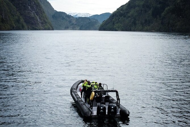 Scenic RIB Adventure to Hardangerfjord & Fyksesund From Øystese - Scenic RIB Adventure Experience