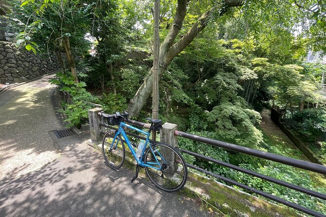 Scenic Riverside Ride in East Kyoto - Schedule and Availability