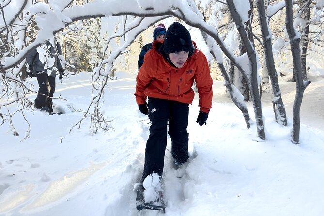 Scenic Snowshoe Adventure in South Lake Tahoe, CA - Additional Information for Travelers