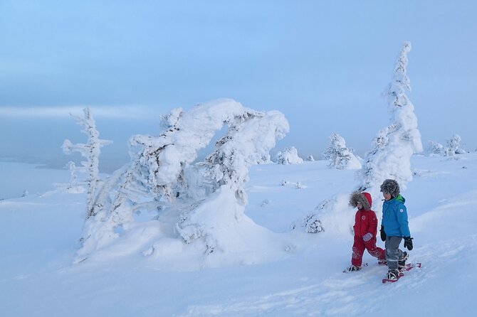 Scenic Snowshoeing on the Top of Pyhä Fell - Scenic Views From the Pyhäexpress Chairlift