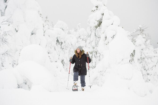 Scenic Snowshoeing on the Top of Pyhä Fell - Accessible Transportation and Meeting Point