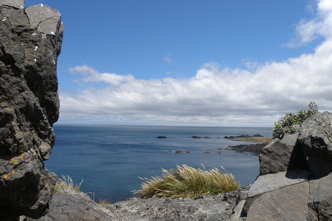 Scenic South Wairarapa Full Day Tour From Wellington - Additional Information