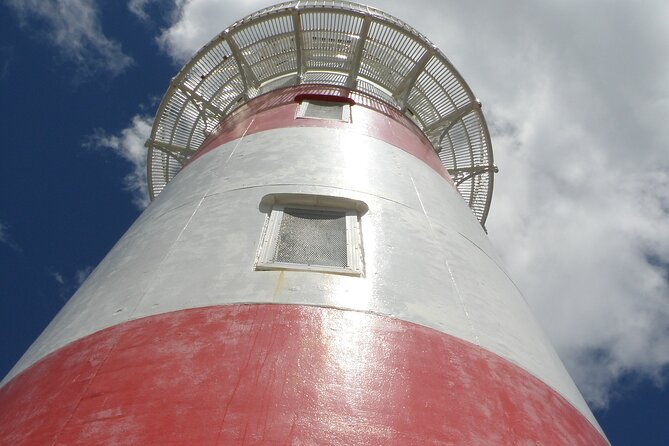 Scenic South Wairarapa Full Day Tour From Wellington - Reviews and Ratings