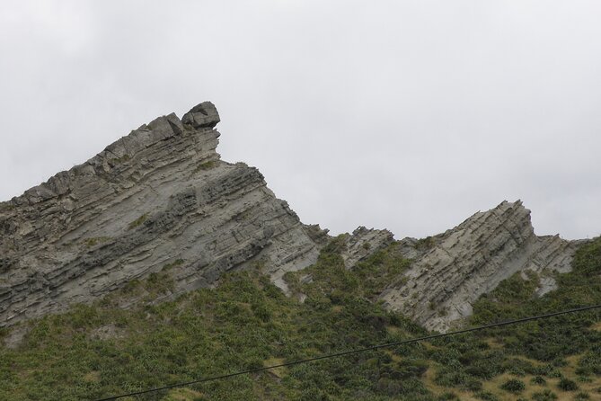 Scenic South Wairarapa Full Day Tour From Wellington - Visit Cape Palliser Lighthouse