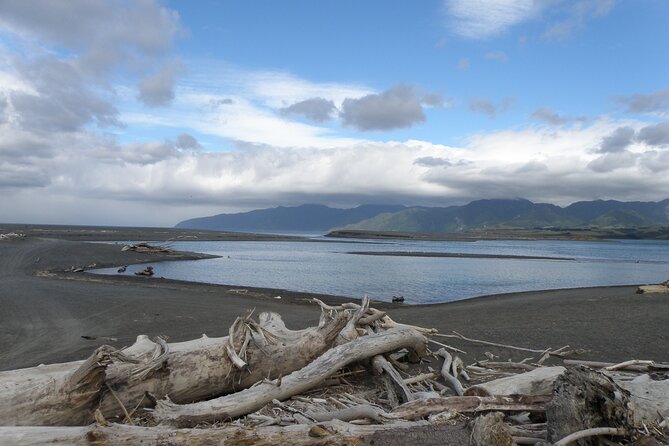 Scenic South Wairarapa Full Day Tour From Wellington - Discover Seal Colony