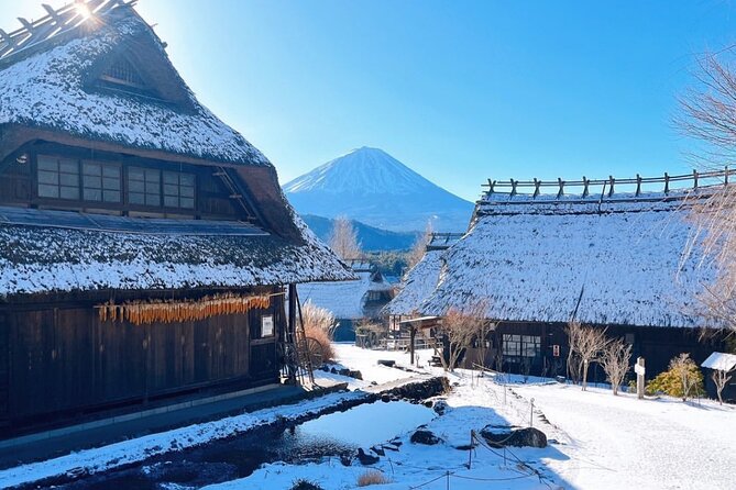 Scenic Spots of Mount Fuji Full Day Sightseeing Tour From Tokyo - Accessibility