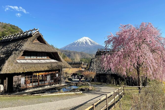Scenic Spots of Mount Fuji Full Day Sightseeing Tour From Tokyo - Guest Reviews and Feedback