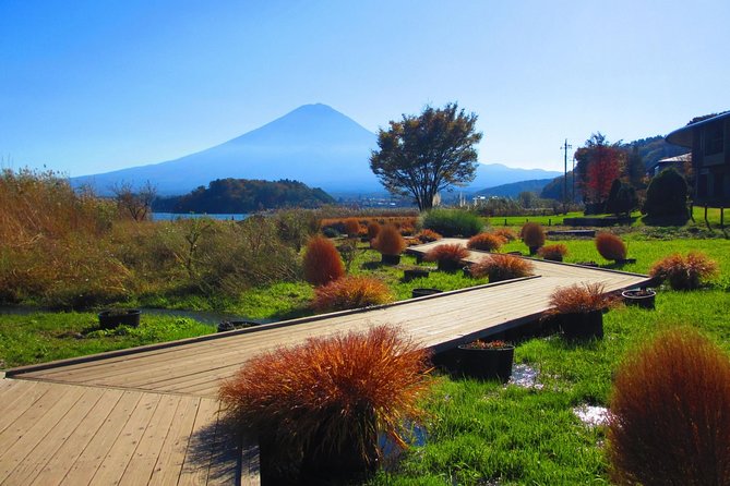 Scenic Spots of Mt Fuji and Lake Kawaguchi 1 Day Bus Tour - Stroll Around Lake Kawaguchiko
