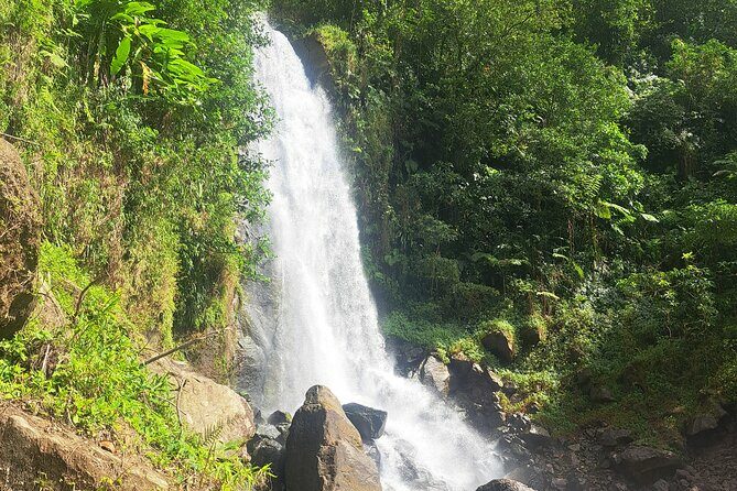 Scenic Tour of City and Rainforest, Waterfall, Sulphur Springs . - Transportation and Comfort