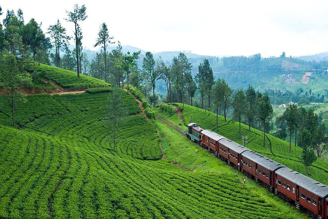 Scenic Train Ride to Ella From Kandy - Experience Accessibility and Policies