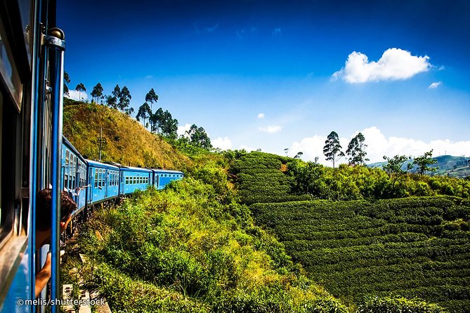 Scenic Train Ride to Ella With Kandy City Tour - Inclusions