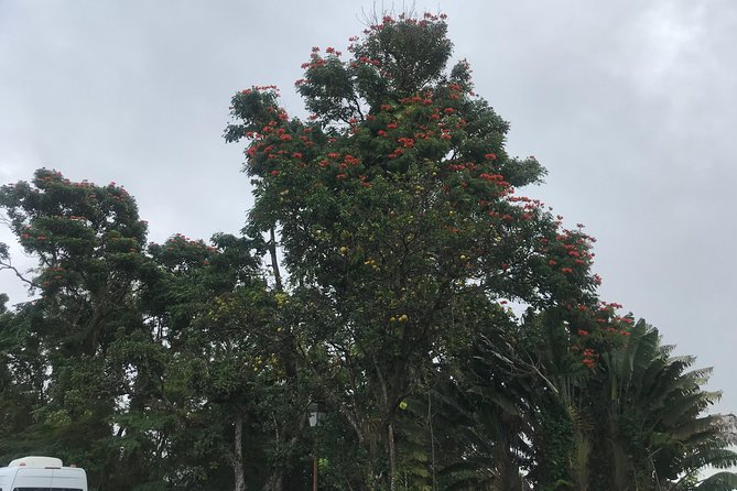 Scenic Tropical Rainforest & Island Tour - Meeting and Pickup Details