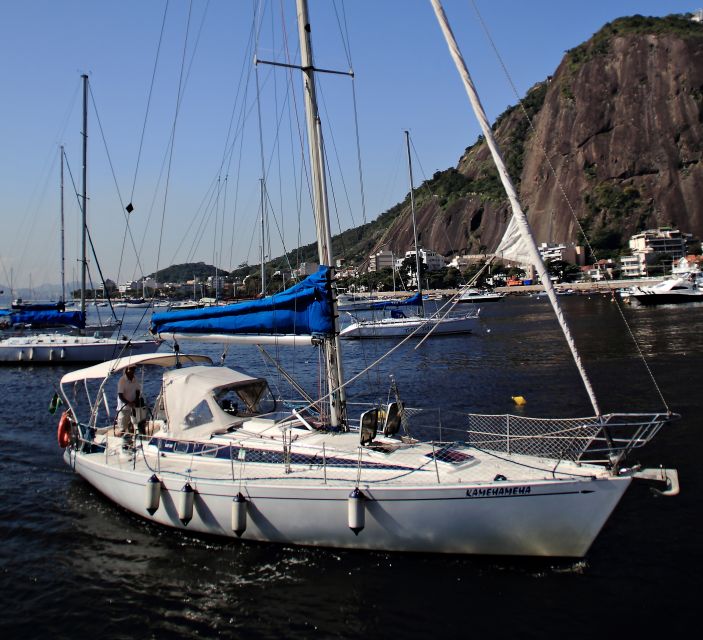Scenic Views of Rio: 3-Hour Sailing Trip on Guanabara Bay - Guest Experience and Reviews