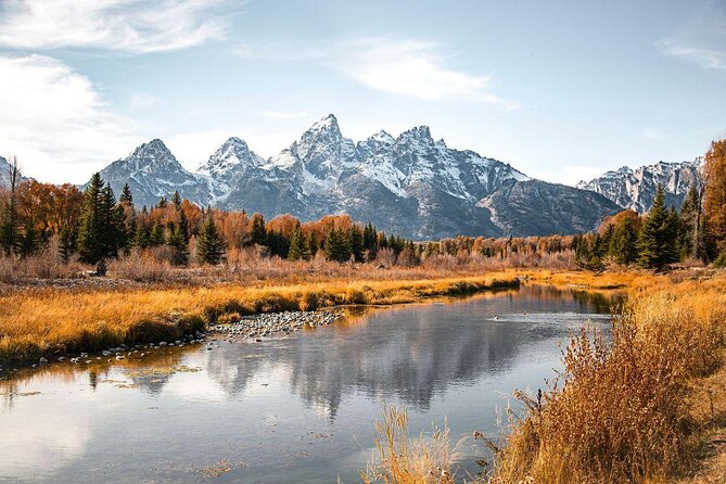 Scenic Wildlife Float in Jackson Hole - Just The Basics
