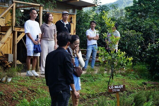 Scented Candle Workshop in Twin Beans Farm Da Lat - Final Words