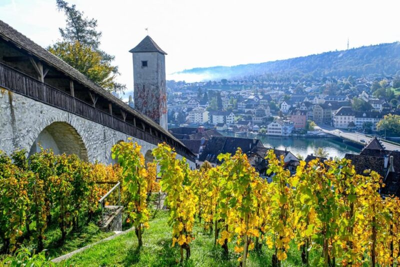 Schaffhausen: Express Walk With a Local in 60 Minutes - Key Points
