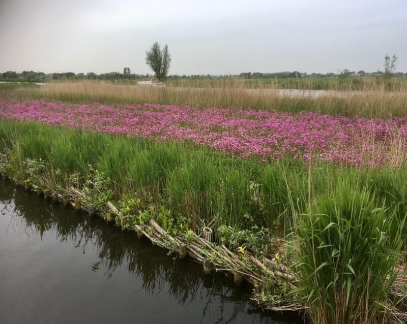 Schipluiden: Private Boat Tour to Rotterdam - Participant Restrictions