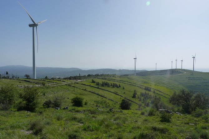 Schist Villages of Lousã and Limestone Villages of Sicó, Full-Day From Coimbra - Host Response