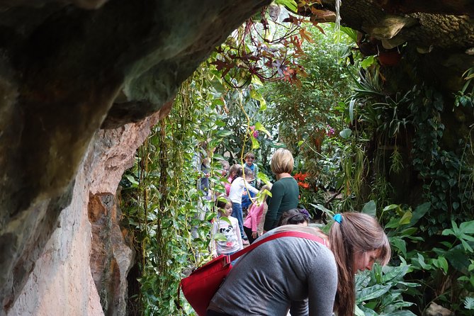 Schmetterlinghaus - Imperial Butterfly House Vienna Admission Ticket - Drawbacks From Negative Reviews