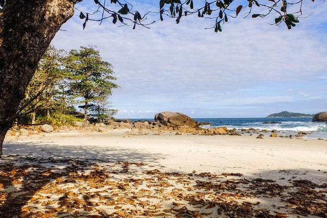 Schooner Shuttle to Lopes Mendes From Vila Do Abraao - Maximum Capacity and Accessibility