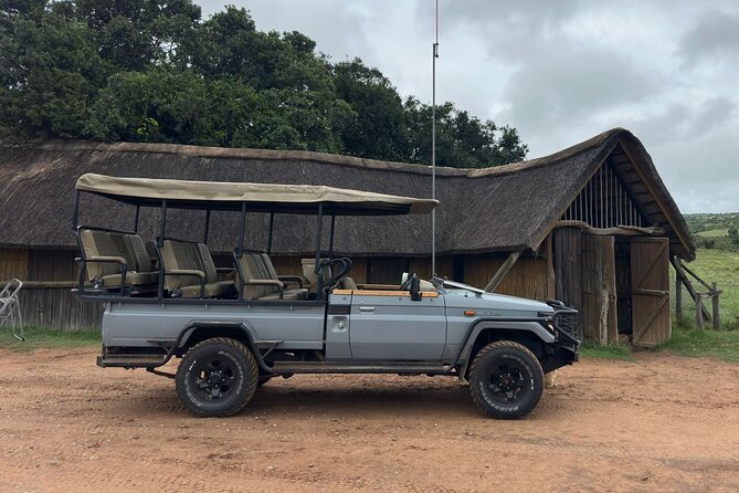Schotia Game Reserve Tour With Port Pickup, Next to Addo Park - Tour Overview and Details