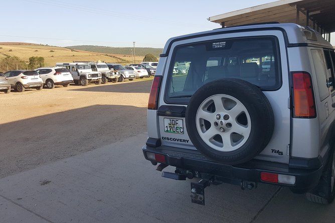 Schotia Open Vehicle Safari Game Drive - Customer Reviews and Feedback