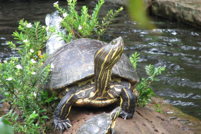 Schumanns BOTANICAL PARK TOUR - Feedback and Reviews