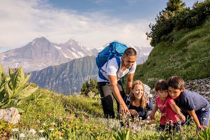 Schynige Platte Admission - Botanical Alpine Garden