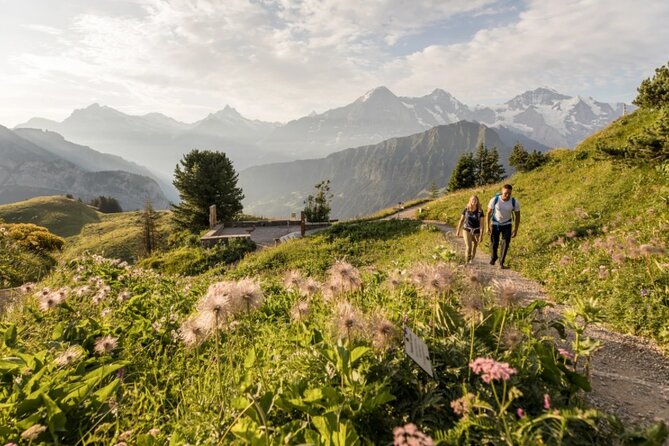 Schynige Platte Admission - Summit Restaurant and Specialities