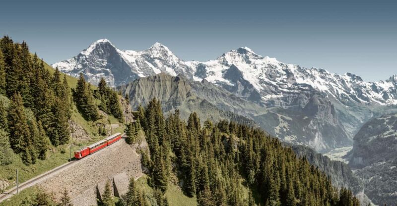 Schynige Platte - Top of Swiss Tradition Ticket - Attractions and Activities