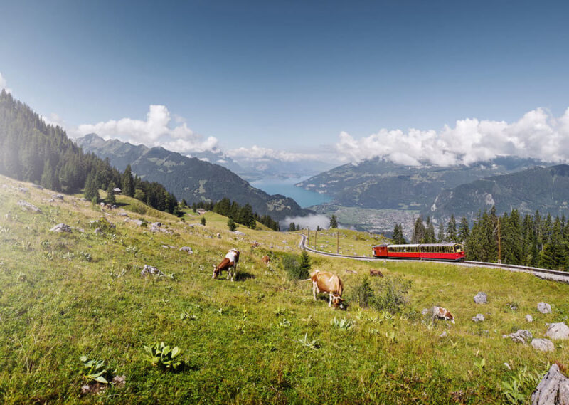 Schynige Platte - Top of Swiss Tradition Ticket - Inclusions