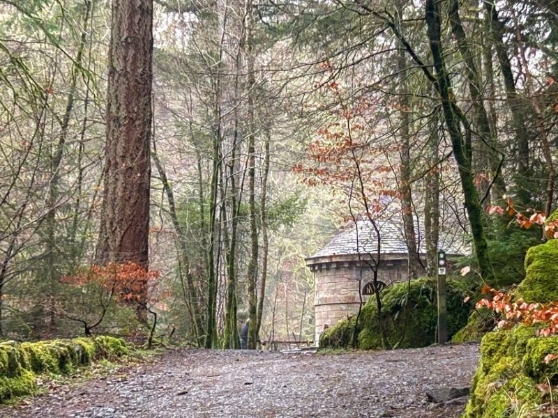 Scone Palace, Nature Walk and Whisky Experience Private Tour - Itinerary Highlights