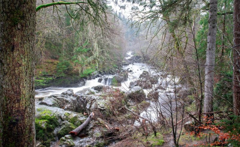 Scone Palace, Nature Walk and Whisky Experience Private Tour - The Hermitage