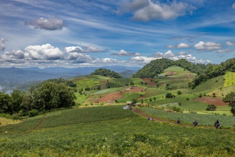 Scooter Adventure Incl Elephants, Cave - Unique Experiences and Adventure
