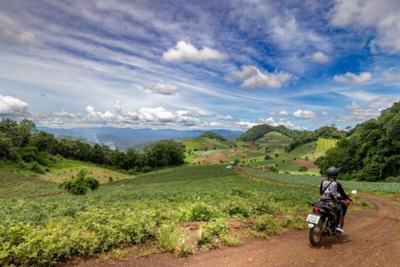 Scooter Adventure Incl Elephants, Cave - Guided Tour and Scenic Drive