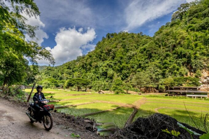 Scooter Adventure Incl Elephants, Cave - Frequently Asked Questions