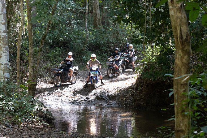 Scooter Adventure With Elephants, Views and FUN Drive Yourself - Inclusions and Pricing