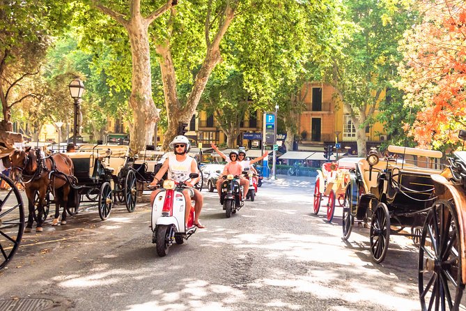 Scooter and Motorbike Rental to Explore Mallorca - Scooter Size and Age Requirements