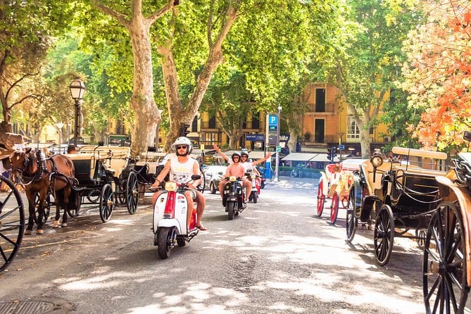 Scooter and Motorbike Rental to Explore Mallorca - Cancellation and Weather Policies