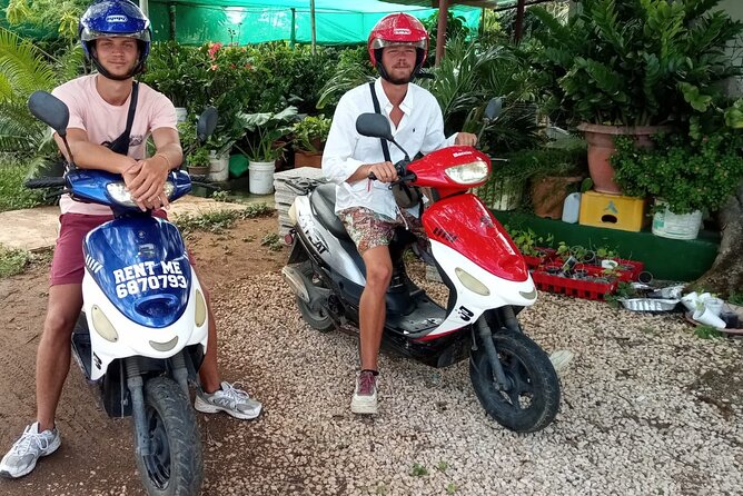 Scooter Rental - Accessibility and Transportation