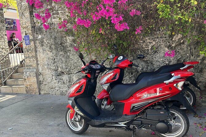 Scooter Rental Nassau - A Day in Nassau by Scooter: Sample Itinerary