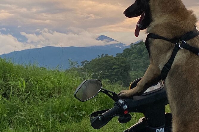Scooter Rentals in Manuel Antonio - Deposit and Discounts