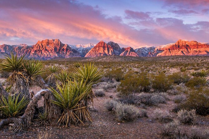 Scooter Tours of Red Rock Canyon - Just The Basics