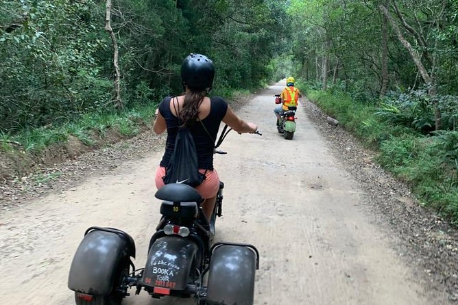 Scooter Tours Through Tsitsikamma National Park - Highlights of the Experience