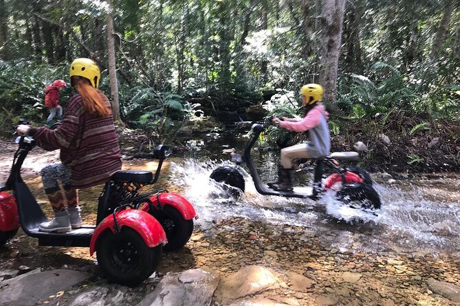 Scooter Tours Through Tsitsikamma National Park - Exploring the Rainforest